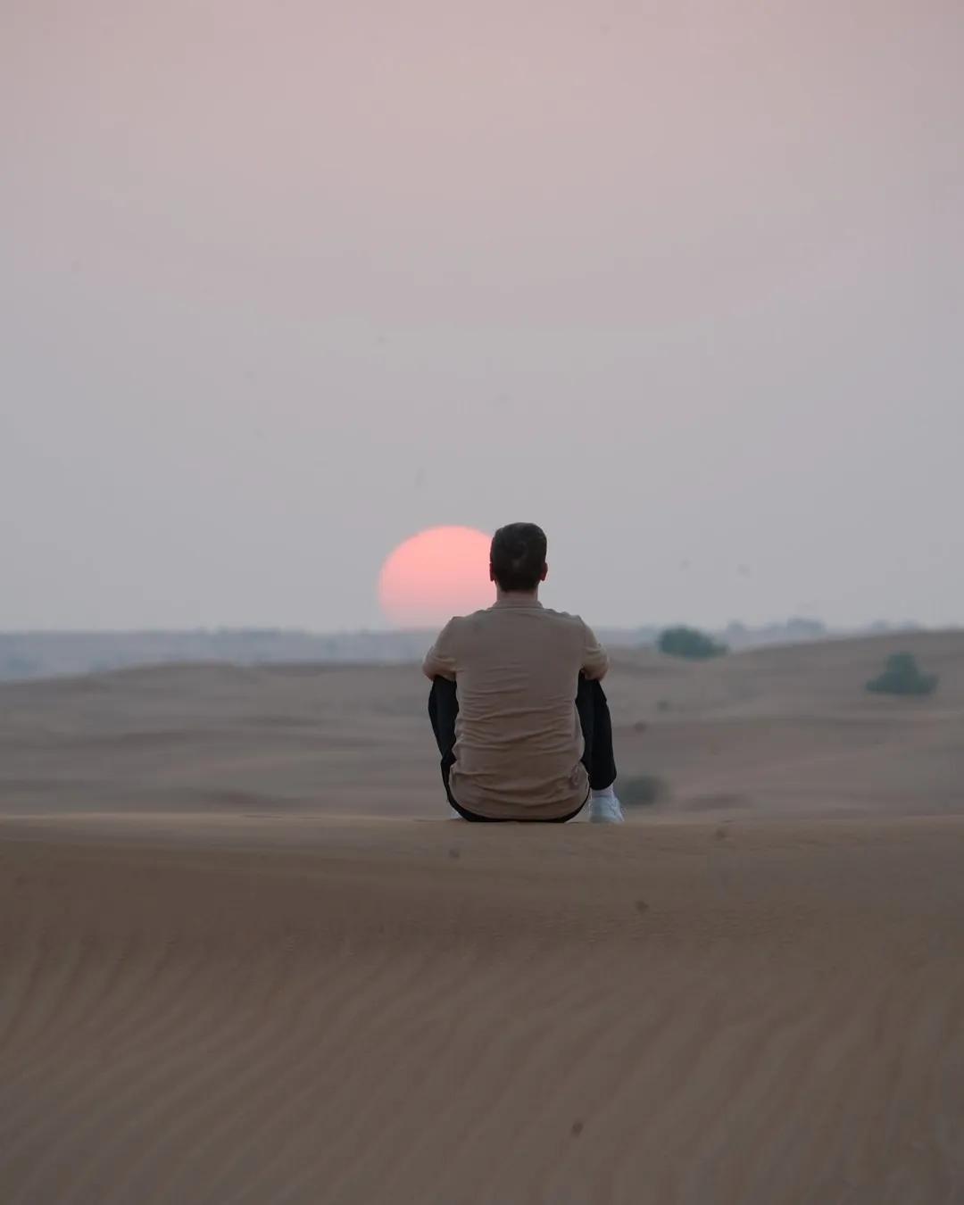 بولو صحراء