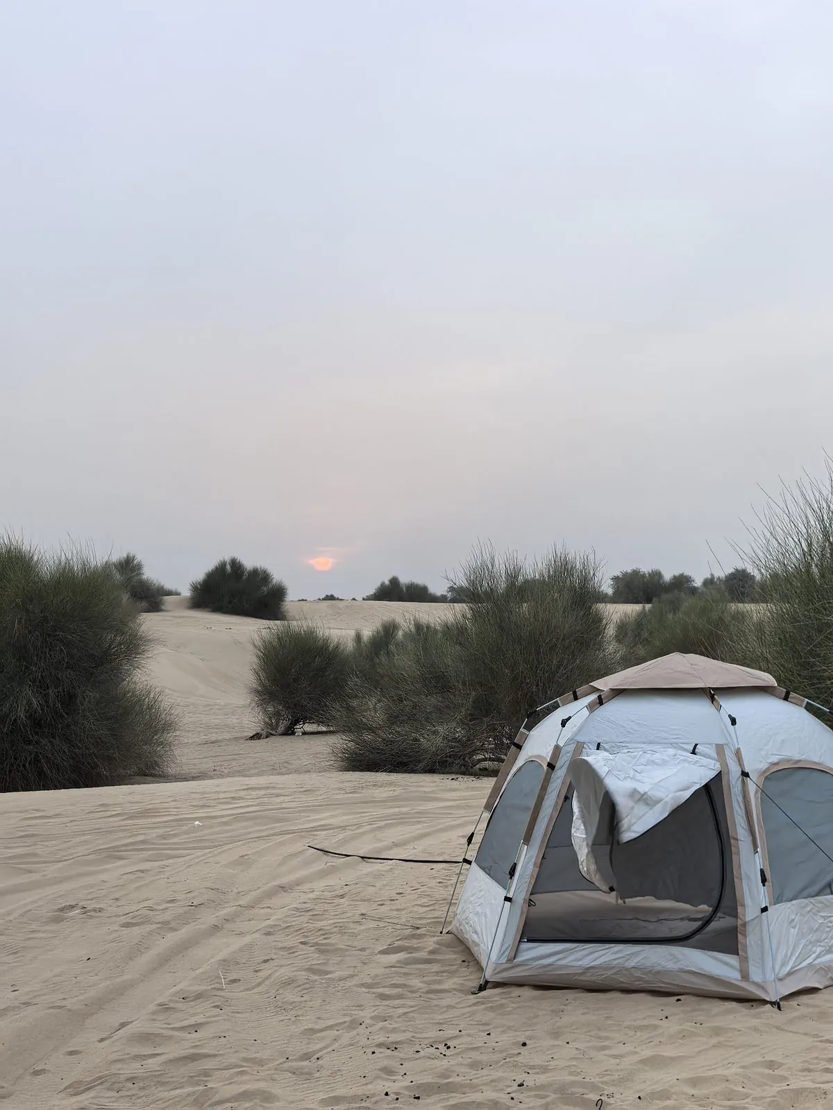 A small tent pitched on sand among desert shrubs at dusk, Al Qudra