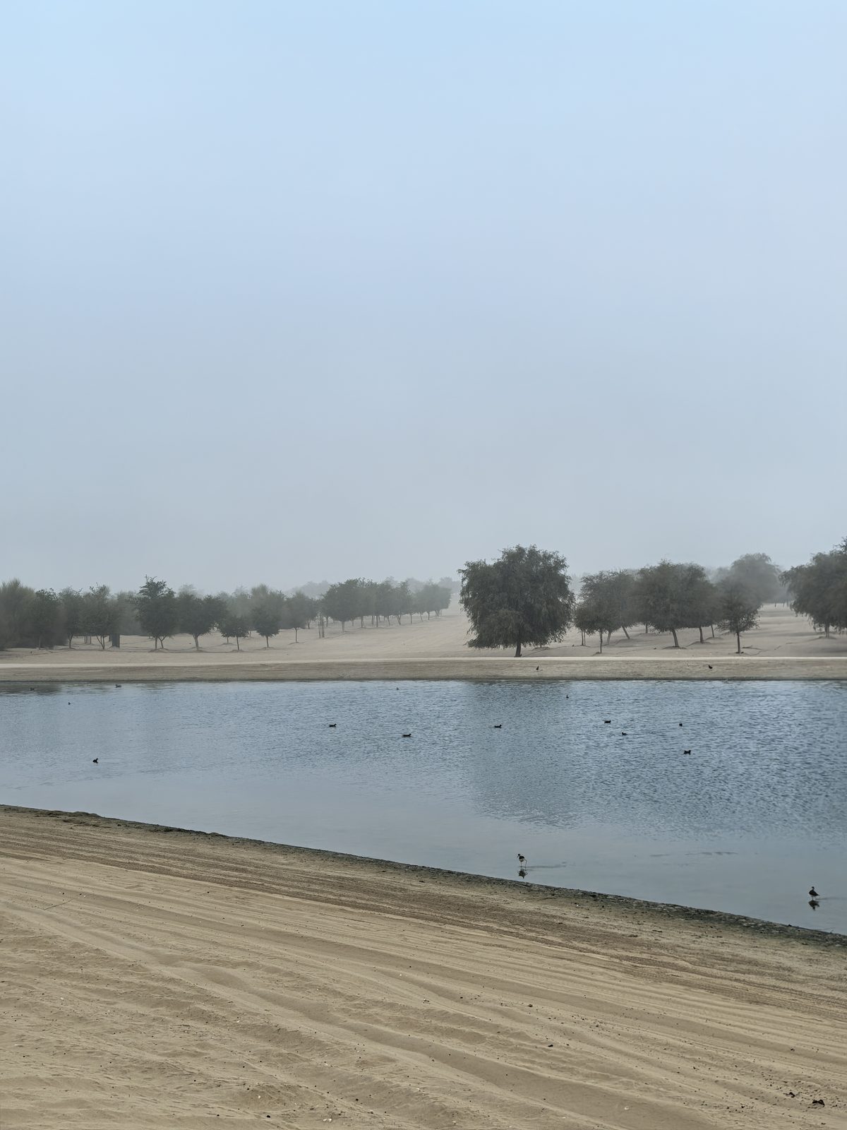 Desert Camping (Lake View) — Camping in Dubai, photo 2