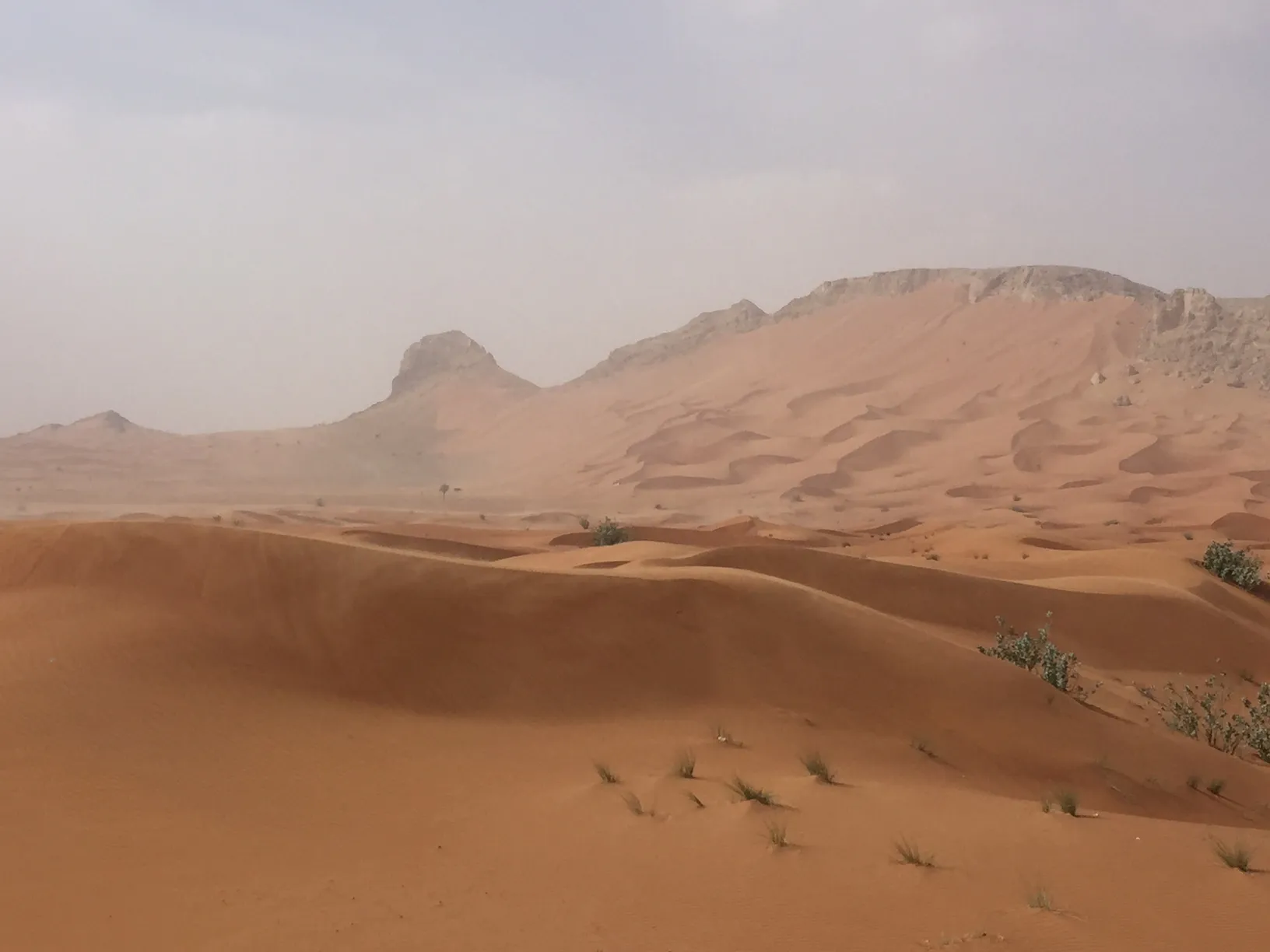 Dunes and rocky outcrops of the Mleiha desert, in the Fossil Rock area, in hazy desert light