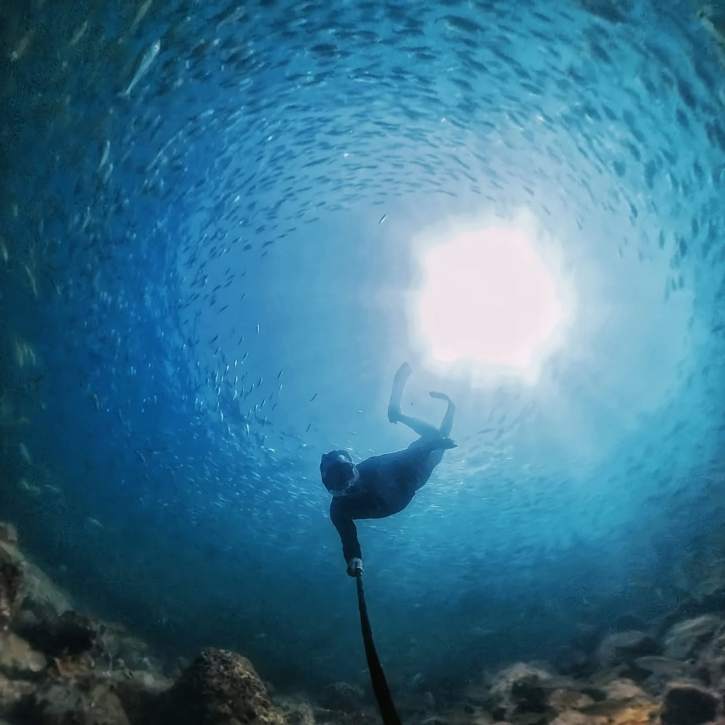 Snoopy Island, Coast in Fujairah