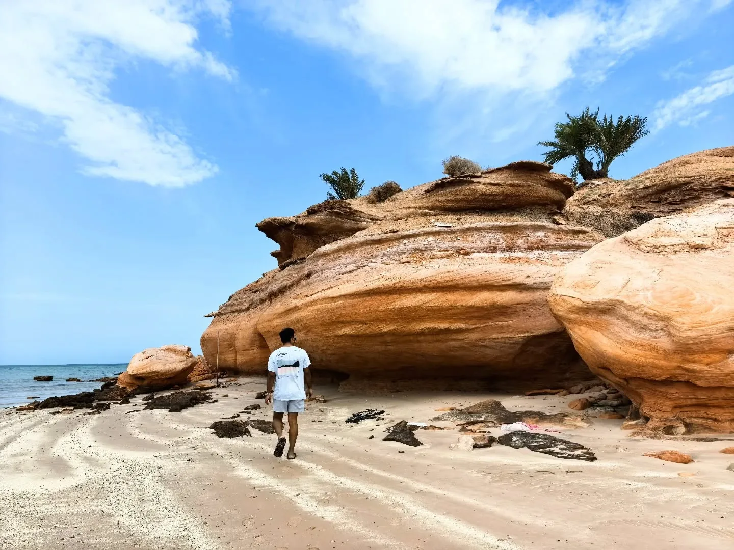Shuweihat Island, Coast in Abu Dhabi